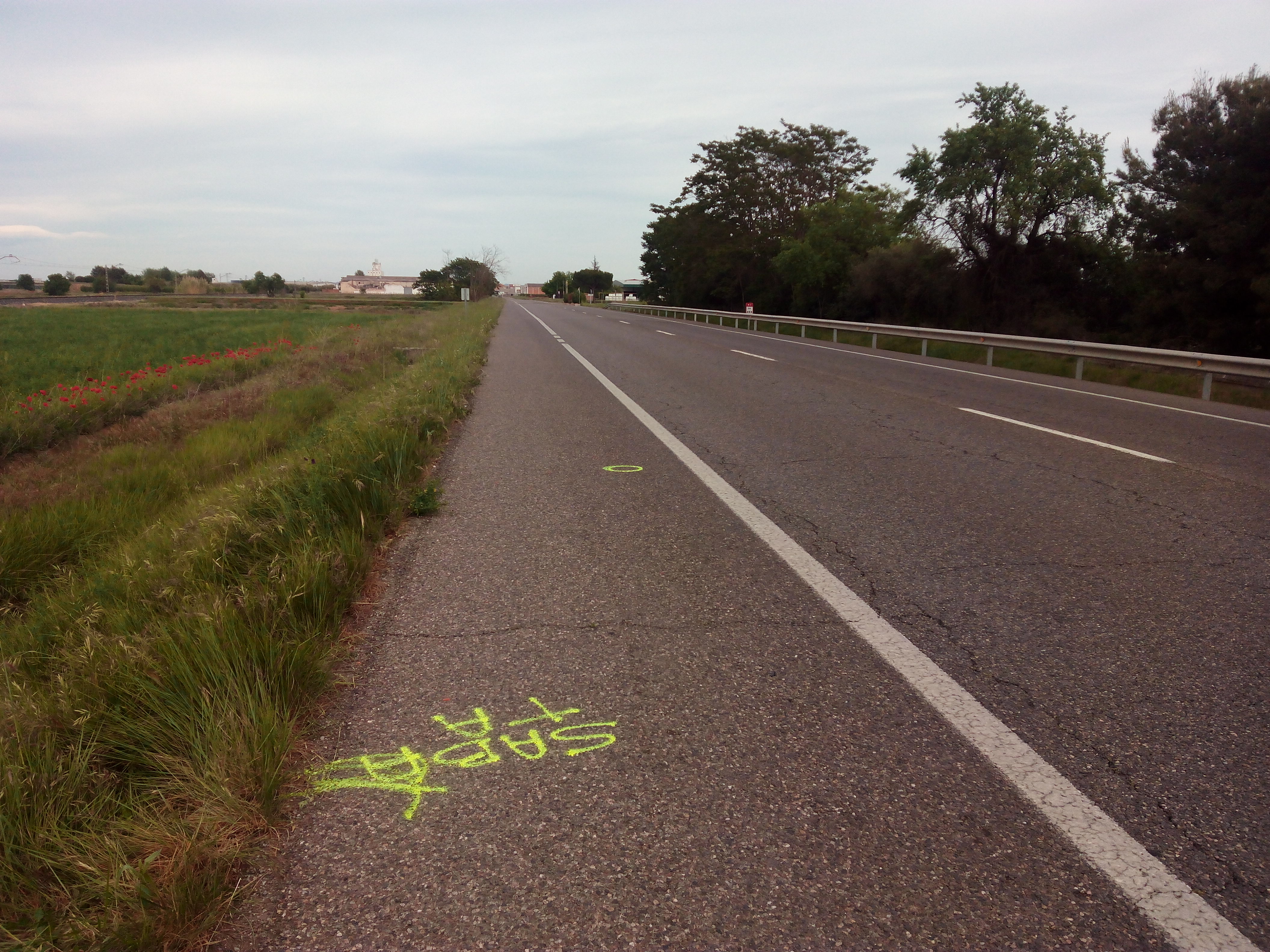 Mor un vianant atropellat a la N-2 a Bellpuig