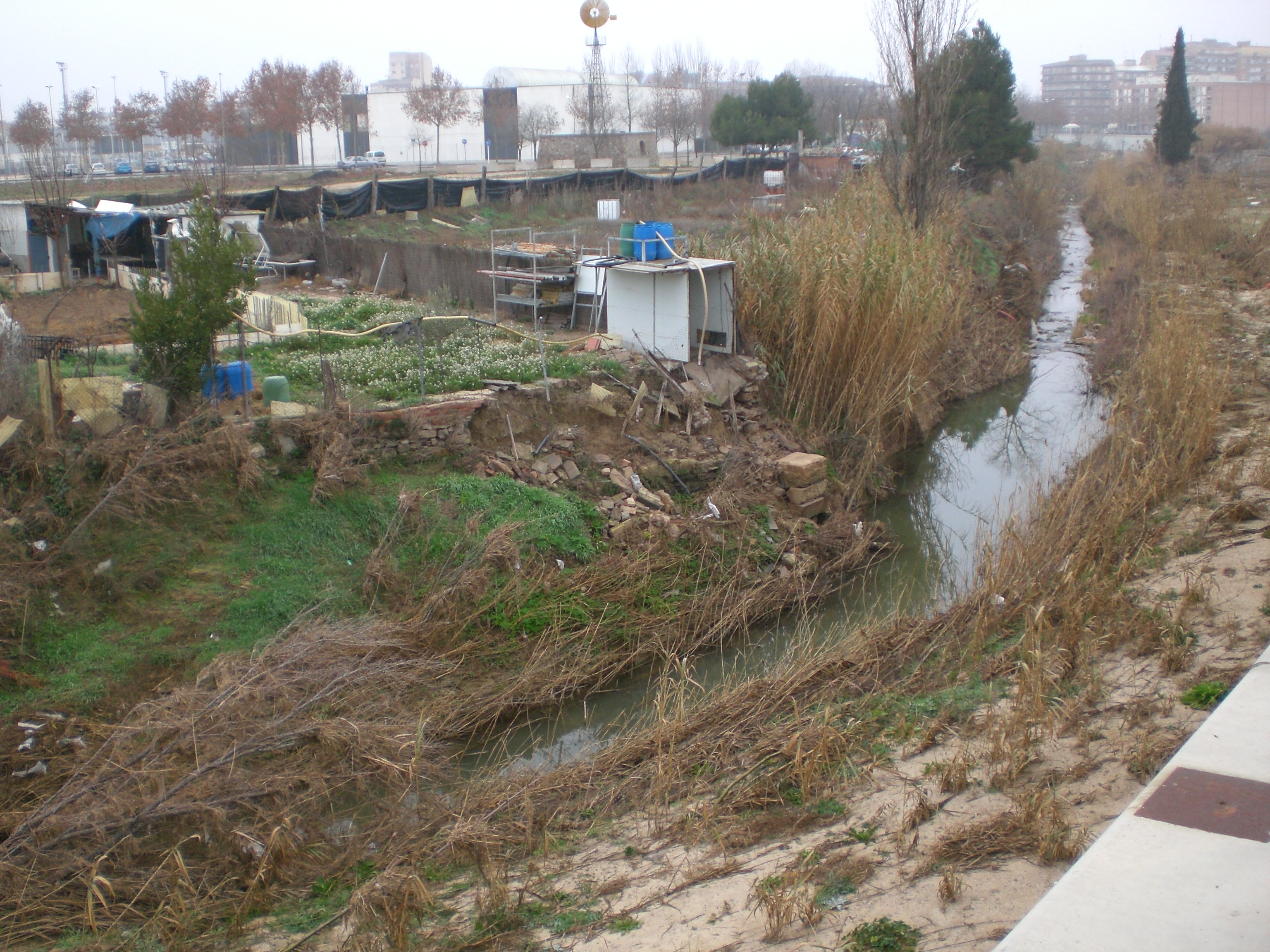 La CUP de Tàrrega proposa elaborar un pla de millora per recuperar la zona est del riu Ondara