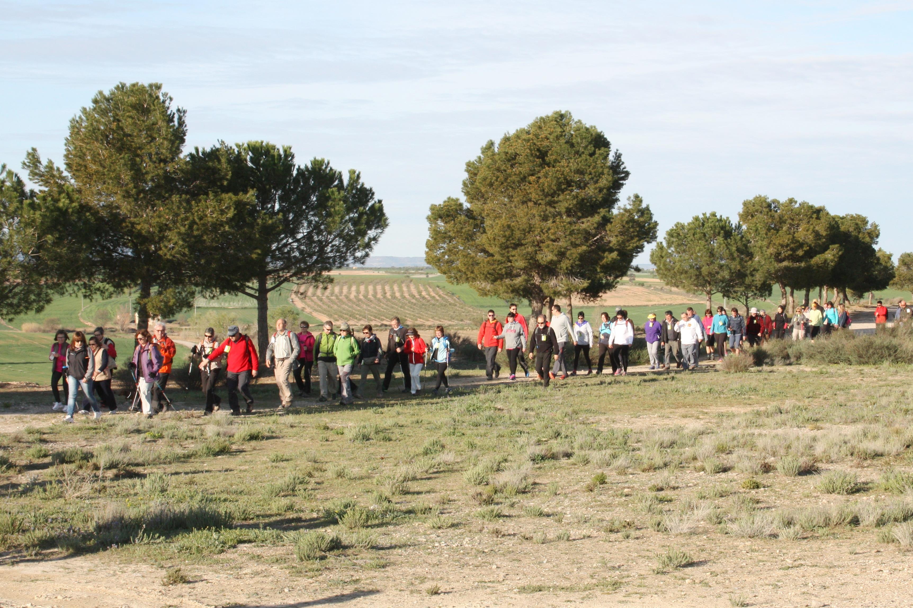 Èxit de la 7a Marxa Popular  pels plans de la Vall del Corb