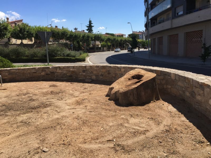 L’Ajuntament de Tàrrega retira les restes de l’Om de la Plana per seguretat