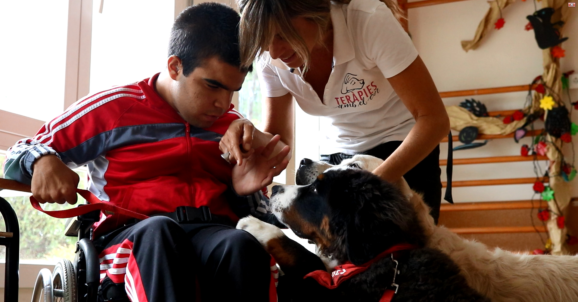 L’Associació Alba busca finançament per potenciar la teràpia amb gossos