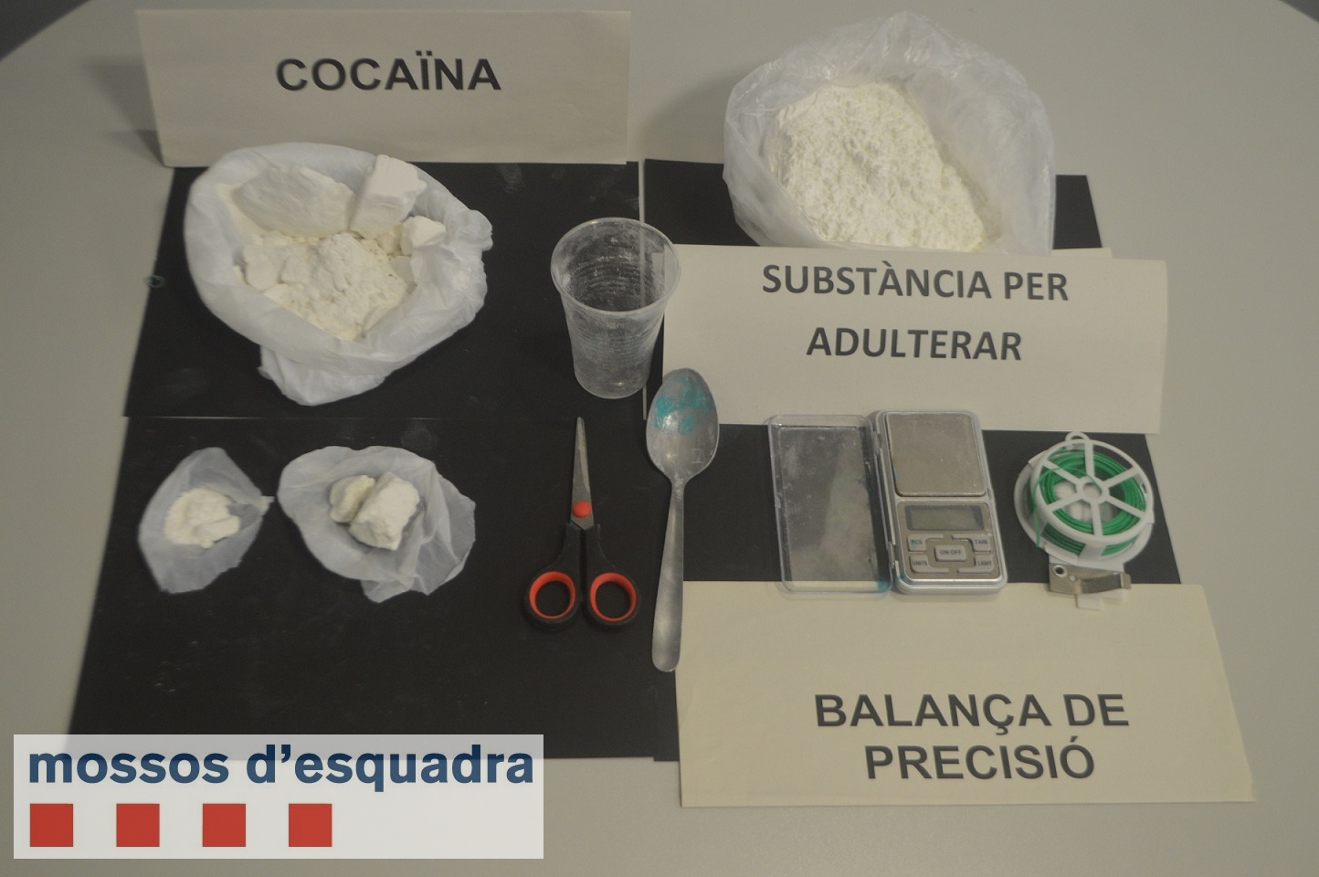 Els Mossos d’Esquadra detenen a Lleida un home per traficar amb substàncies estupefaents