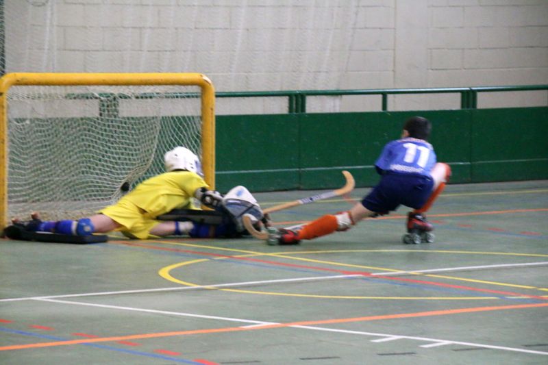 Els diferents equips del Tàrrega Hoquei Patins Club acaben les seves corresponents lligues de la  temporada.