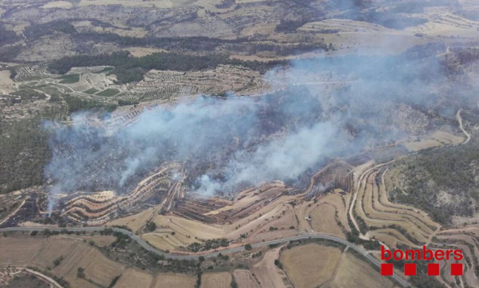 Estabilitzat l’incendi forestal i agrícola de Vallbona de les Monges, que ha cremat 8 hectàrees