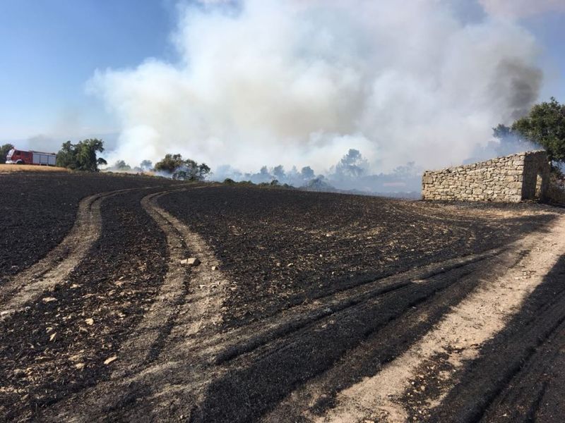 Els Bombers de la Generalitat treballen en un incendi agrícola i forestal a Ciutadilla ja estabilitzat
