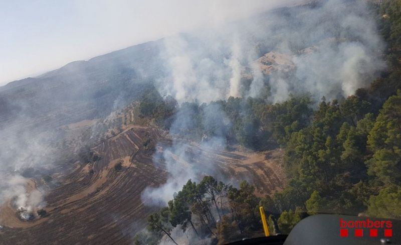 Foc forestal entre els Omells de Na Gaia i Vallbona de les Monges a l’Urgell