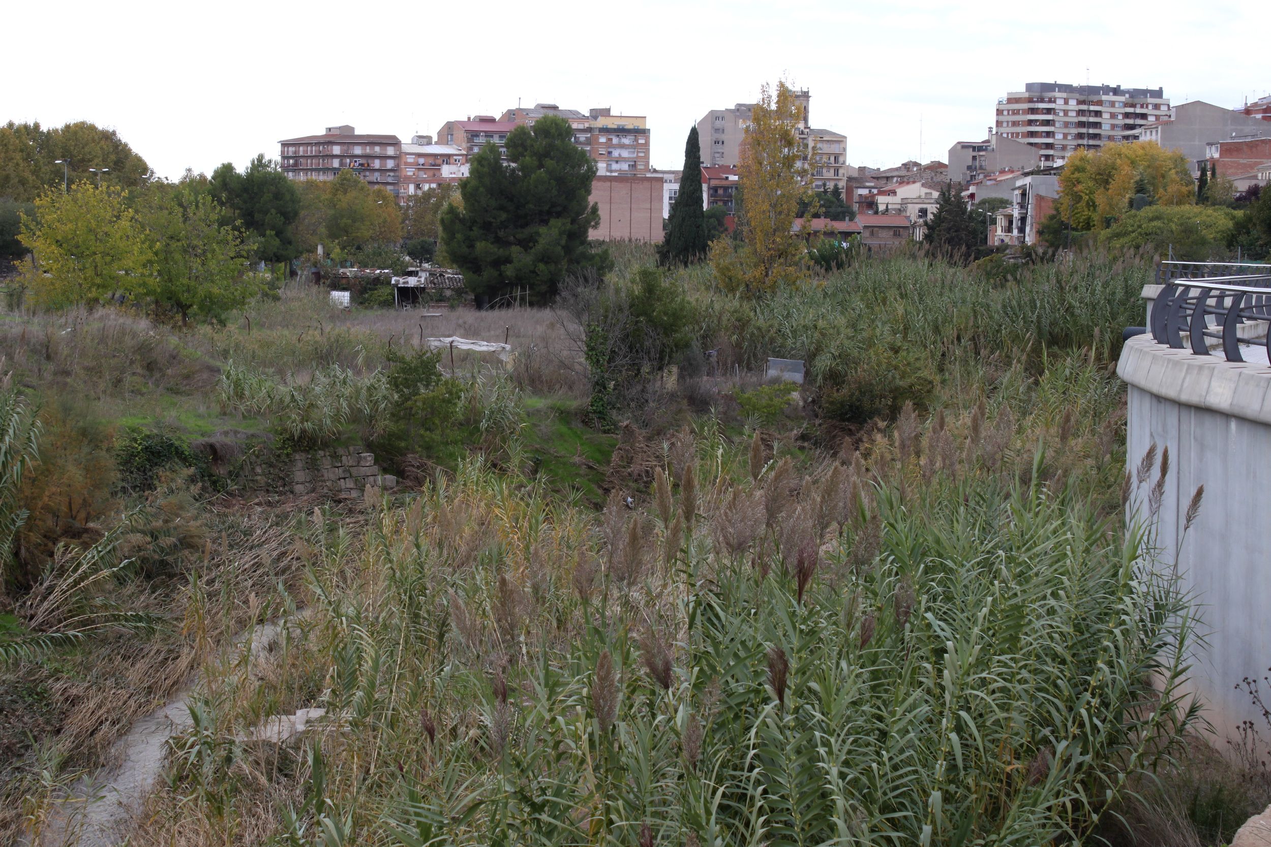 L’Ajuntament de Tàrrega finalitza l’expropiació d’horts vora el riu Ondara i licitarà les obres per convertir l’espai en zona de passeig