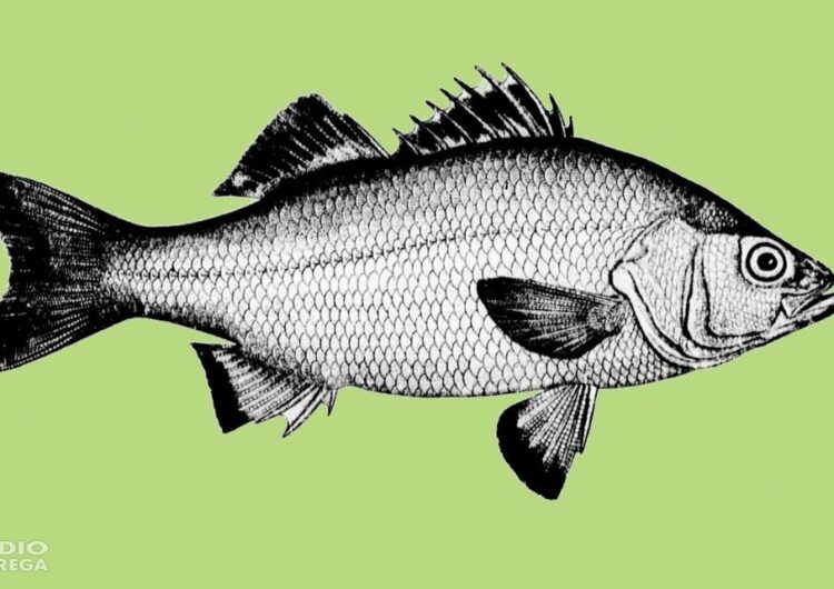 Eduard Ribera publica el seu darrer llibre ‘El peix que volia ser home’