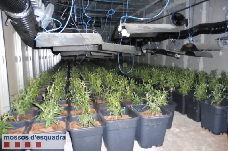 190307 NdP 031-RPP Marihuana Tor&agrave;