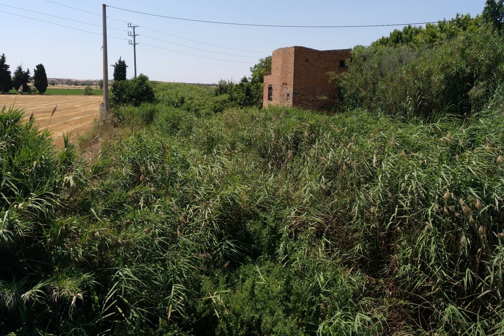 Aspecte actual del riu Ondara vora el pont de l'avinguda de l'Onze de Setembre