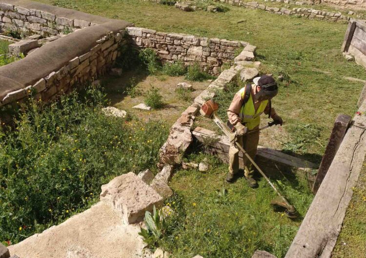 L’Ajuntament de Tàrrega promou la gestió ecològica dels espais urbans sense l’ús de glifosat
