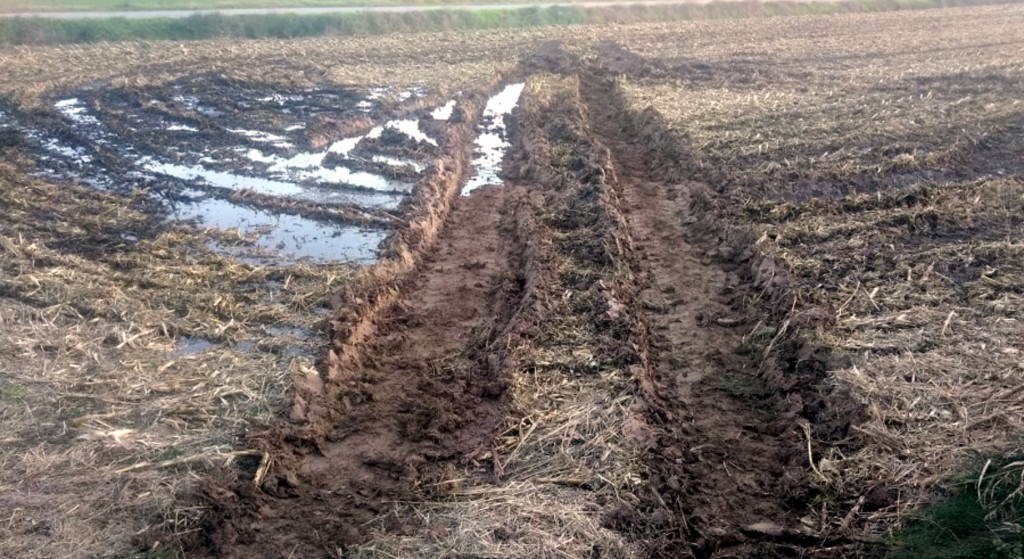 Pla general d'un camp on s'hauria de sembrar cereal a Ivars d'Urgell afectat per l'excés de pluges, el novembre de 2018. (Horitzontal)