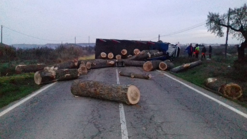 Els troncs del camió bolcat, escampats per la C-14 a Tàrrega. Imatge del 13 de desembre de 2018. (Horitzontal)