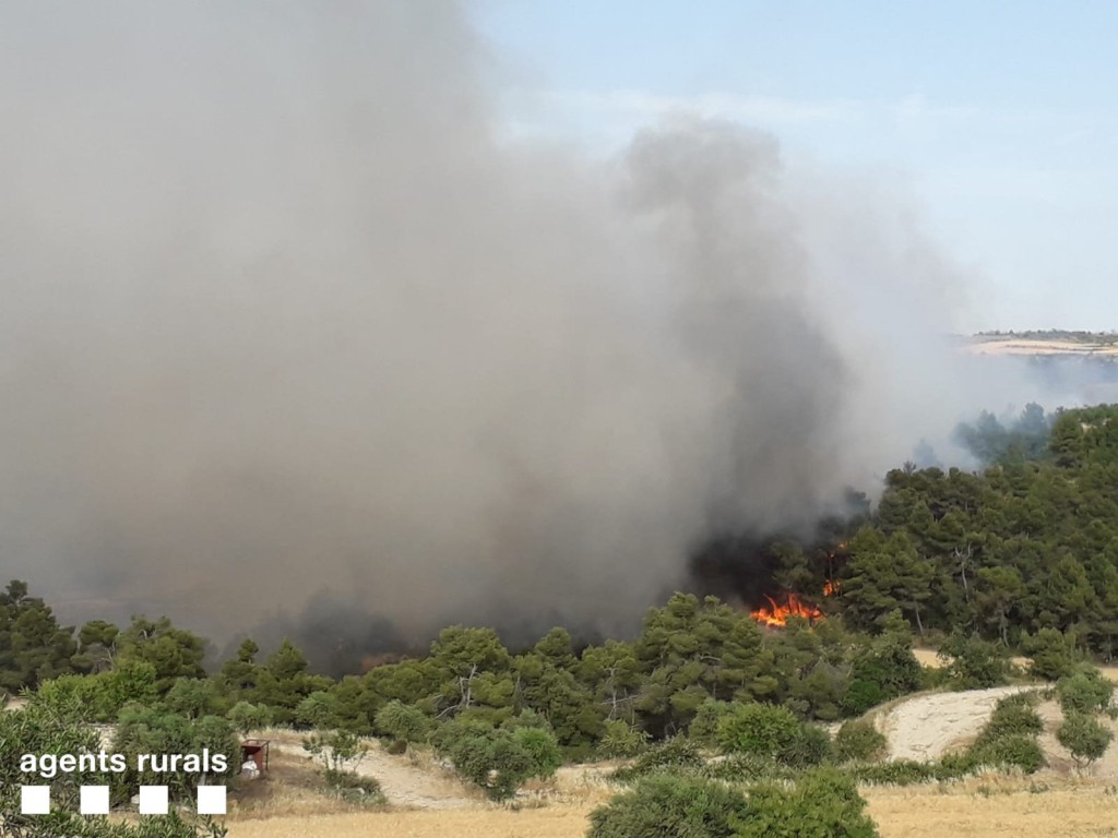 Pla general de l'incendi que crema vegetació agrícola i forestal entre Nalec i Rocafort de Vallbona, a la comarca de l'Urgell, el 24 de juny del 2019 (Horitzontal)