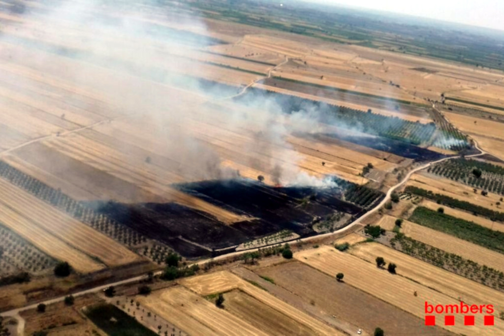 Pla general dels camps de vegetació agrícola afectats per l'incendi de Belianes (Urgell), el 6 de juliol del 2019 (horitzontal)