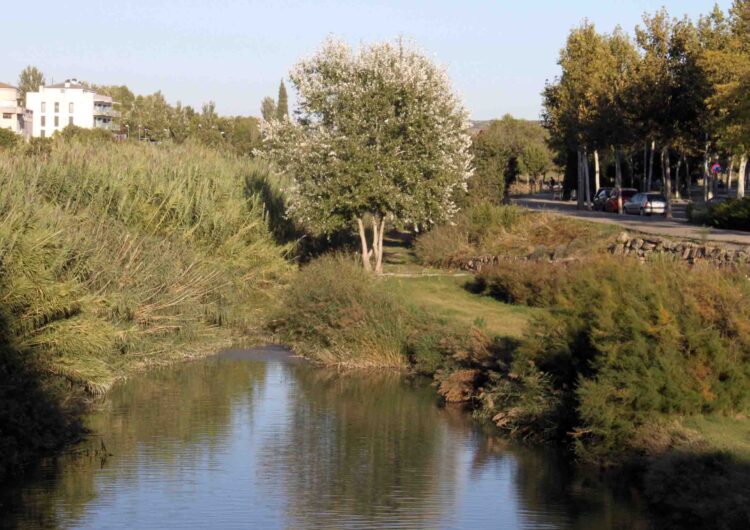 L’Ajuntament de Tàrrega aprova un nou projecte de recuperació dels espais verds situats a la llera del riu Ondara