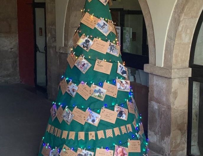 L’arbre de Nadal del Consell Comarcal convida a l’adopció dels animals de la canera comarcal