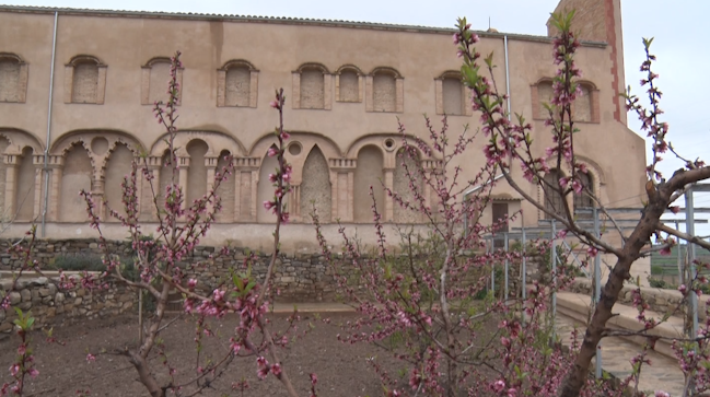 Mas de Colom acull la primera diada de floració dels ametllers passada per aigua