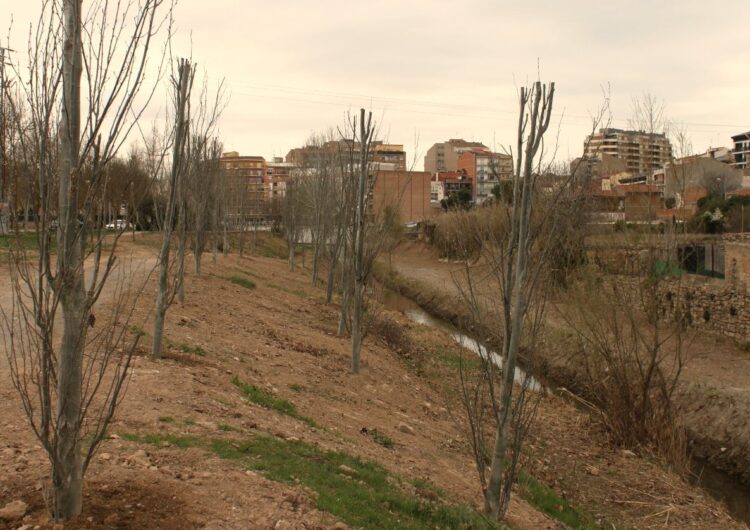 L’Ajuntament de Tàrrega ultima els treballs de neteja i plantació d’arbres a la llera del riu Ondara