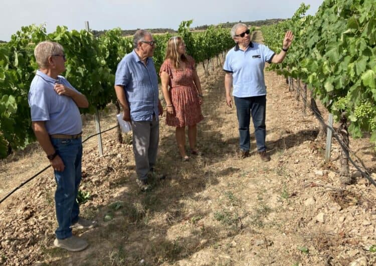 Trobada a Tàrrega per impulsar els nous conreus de vinya en regadiu dins el projecte Motors per al Segarra – Garrigues