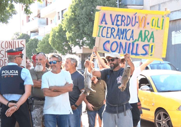Pagesos de l’Urgell es manifesten a Tàrrega per la plaga de conills i exigeixen mesures efectives al Govern