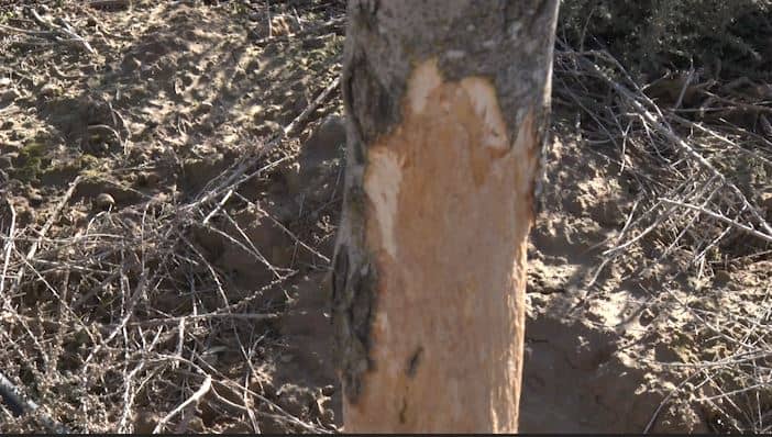 Els pagesos de l’Urgell, en una situació límit