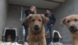 Primera adopció dels nou cadells abandonats a la Protectora d’Animals…