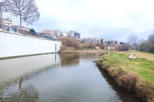 L’Ajuntament de Tàrrega rep una subvenció de 80.000 euros de l’ACA per redactar el projecte de prolongació del mur vora el riu Ondara