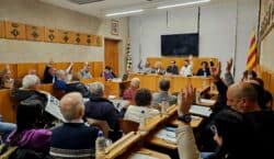 El Consell Comarcal de l’Urgell aprova un pressupost de més…