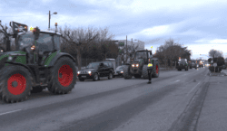 Pagesos o fauna cinegètica