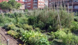 L’Ajuntament de Tàrrega obre la convocatòria per optar a fer&hellip;