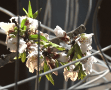 Art contra la guerra