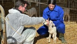 El CFGM de Producció Agropecuària a distància de l’Escola Agrària&hellip;