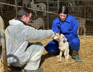 El CFGM de Producció Agropecuària a distància de l’Escola Agrària de Tàrrega assoleix 70 matrícules el seu sisè any