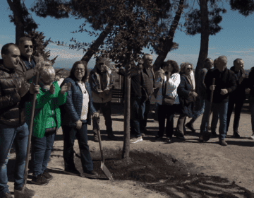 En honor al pulmó verd de Tàrrega