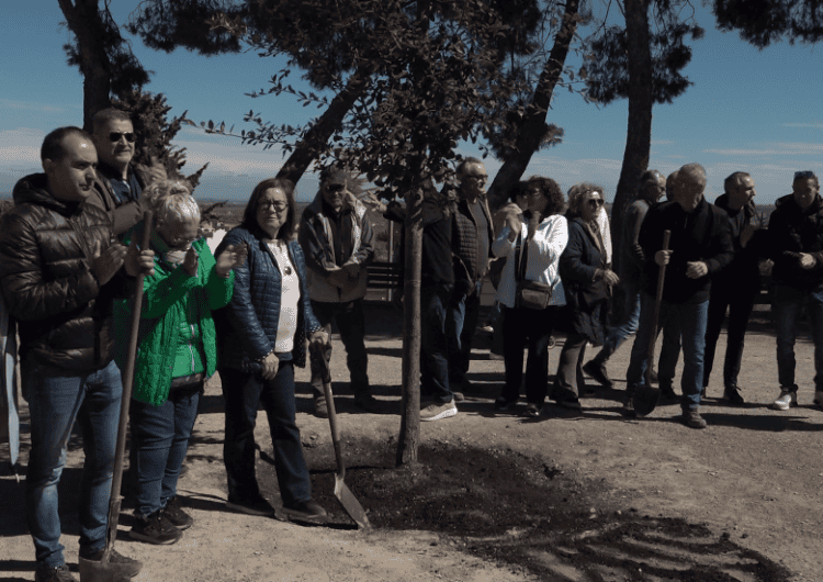 En honor al pulmó verd de Tàrrega