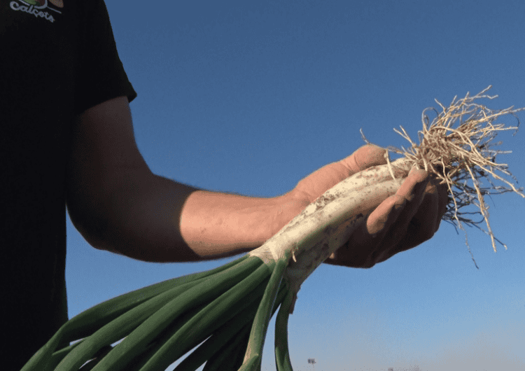 Guardians de les tradicions i del bon producte
