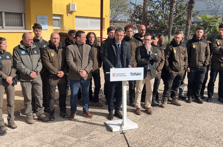 Més drons i més professionals per controlar la sobrepoblació de conills a la Plana de Lleida