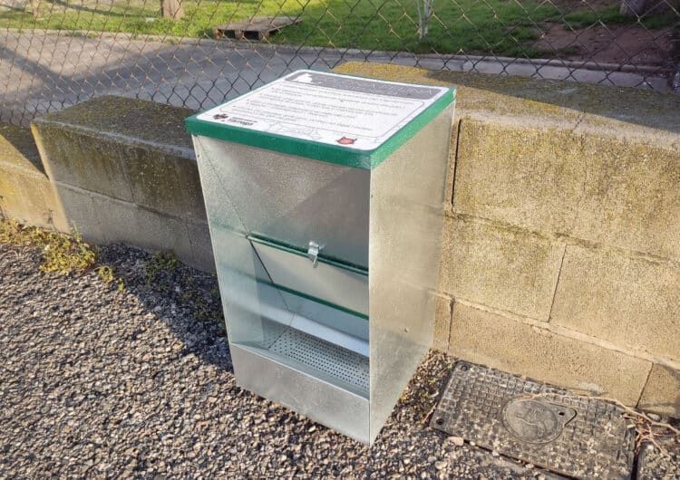 L’Ajuntament de Tàrrega habilita una vintena de menjadores per controlar les colònies urbanes de gats ferals