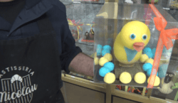 Mones de Pasqua amb segell targarí