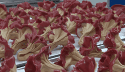 El Rosal de Tàrrega vendrà més de 50.000 roses de&hellip;