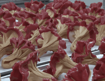 El Rosal de Tàrrega vendrà més de 50.000 roses de galeta per Sant Jordi