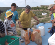 Art, natura i salut mental arrelen per primer cop a Lleida amb “Natura és Cultura”