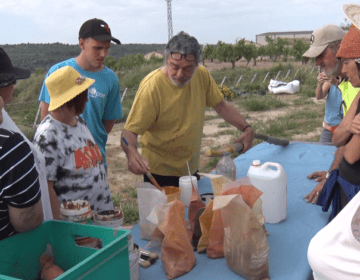 Art, natura i salut mental arrelen per primer cop a Lleida amb “Natura és Cultura”