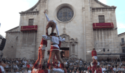 Esclat de cultura tradicional a Tàrrega amb l’exhibició de balls&hellip;