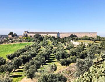 Un espai agroramader a Sant Martí de Maldà facilitarà l’accés de nous professional al sector