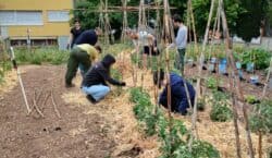 L’Escola Agrària de Tàrrega incorpora el CFGS de Processos i&hellip;