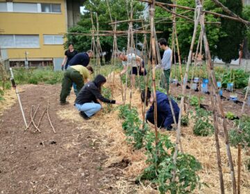 L’Escola Agrària de Tàrrega incorpora el CFGS de Processos i Qualitat en Indústries Alimentàries per al curs 2026-2027 i consolida el CFGM de Producció Agropecuària a distància  