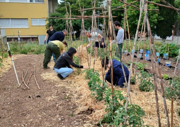 L’Escola Agrària de Tàrrega incorpora el CFGS de Processos i Qualitat en Indústries Alimentàries per al curs 2026-2027 i consolida el CFGM de Producció Agropecuària a distància  