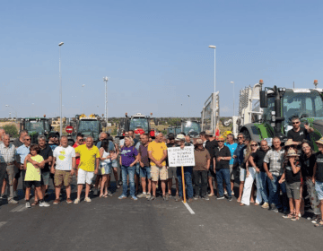 Pla de xoc contra els conills després de les protestes dels pagesos